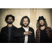 john butler trio